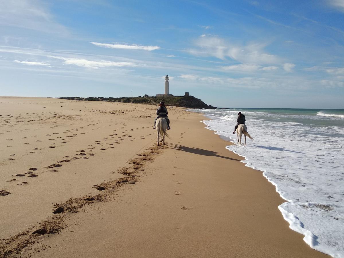 Viviendas Turisticas El Mero Захора Екстериор снимка